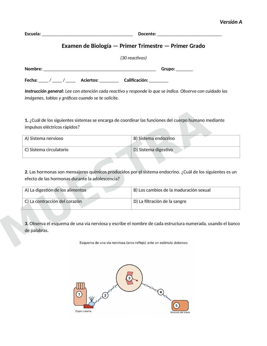 Página de muestra: Examen trimestral de Biología para 1.º de secundaria